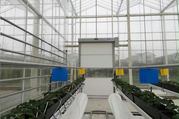 上海快速卷帘门 上海快速卷帘门