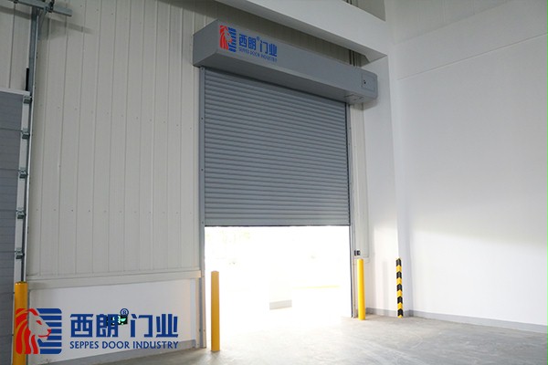 制药出货口欧式卷帘门