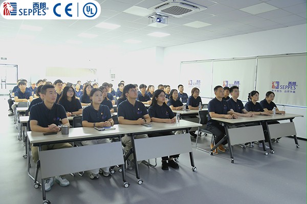 西朗门业董事长杨元嘉带领全体员工观看阅兵仪式