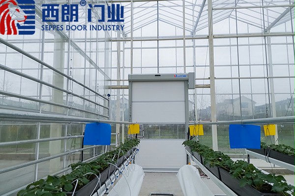 透明快速门 透明快速门